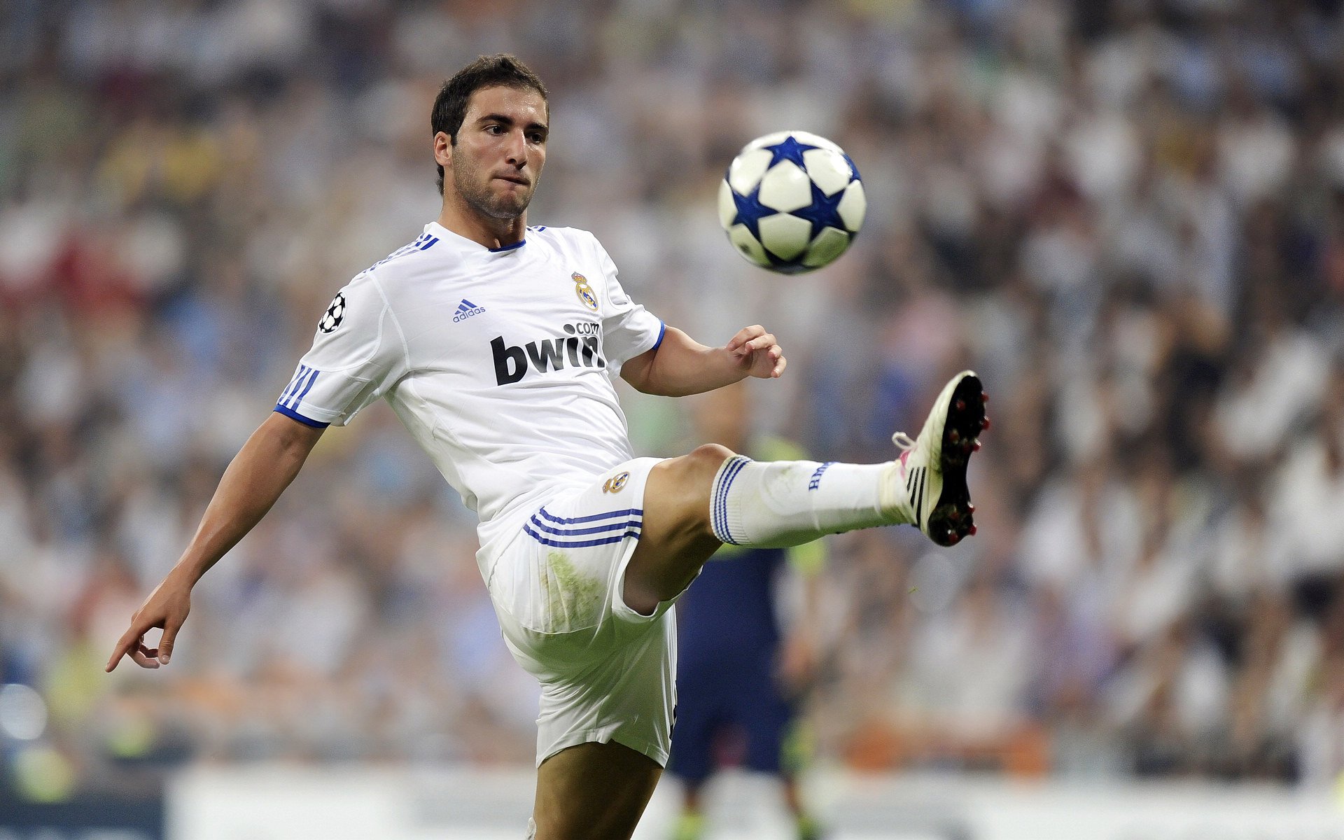 体育赛事观众规模排行